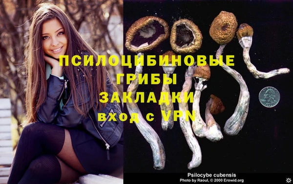 марки nbome Пестово