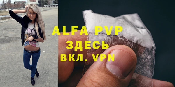 a pvp Пересвет