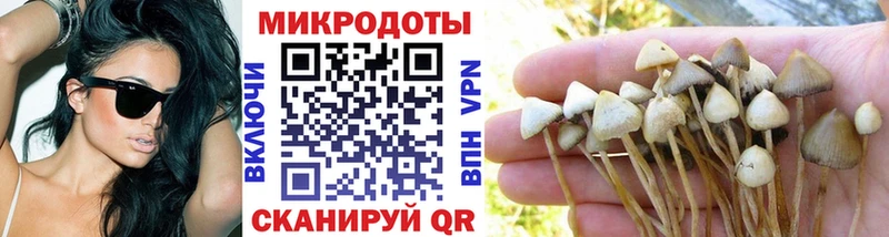 продажа наркотиков  Бронницы  Псилоцибиновые грибы мицелий 