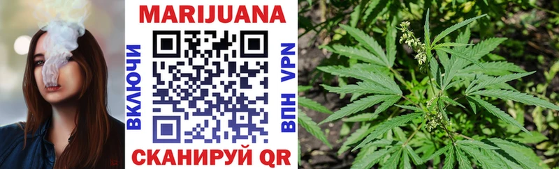 Бошки Шишки план  закладка  Бронницы 